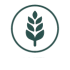 gluten